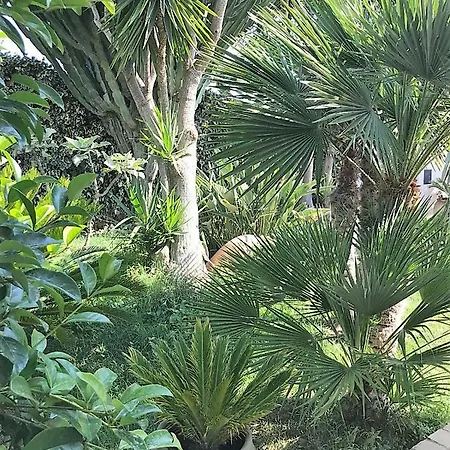 Villa The Queen's House *