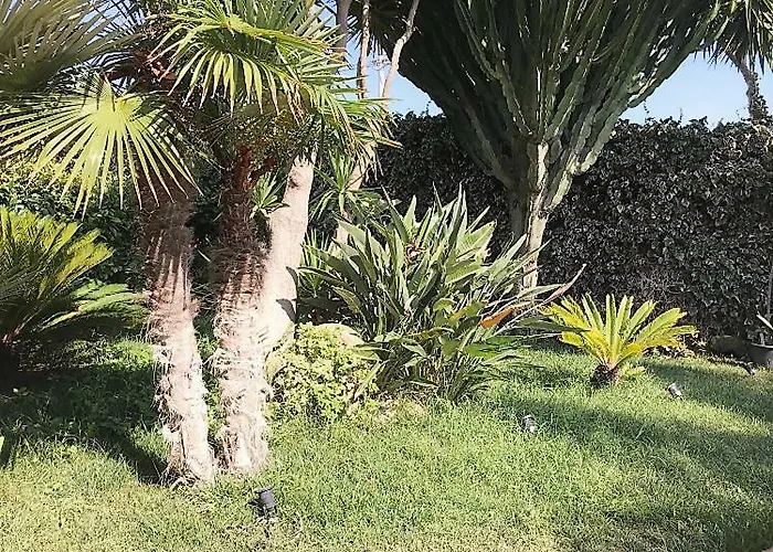 The Queen's House 빌라